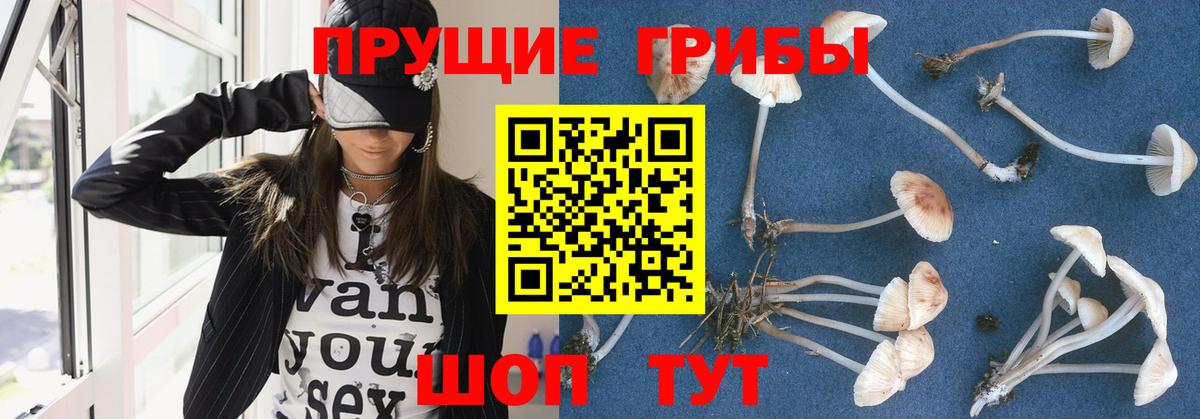 Усинск  Псилоцибиновые грибы прущие грибы  Псилоцибиновые грибы ЛСД  Вход с VPN 